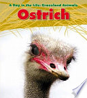 Ostrich cover