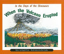 When the Volcano Erupted cover