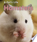 Hamsters cover