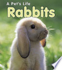 Rabbits cover