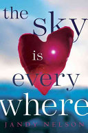 The Sky Is Everywhere cover