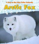 Arctic Fox cover