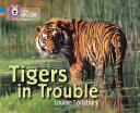 Tigers in Trouble cover