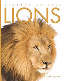 Lions (Amazing Animals, 2012 Edition) cover