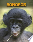 Bonobos cover