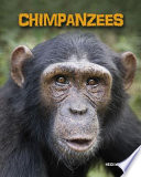 Chimpanzees cover