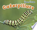 Caterpillars cover