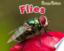 Flies cover