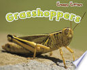Grasshoppers cover