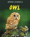 Owl cover