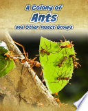 A Colony of Ants and Other Insect Groups cover