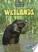 Wetlands cover