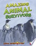 Amazing Animal Survivors cover