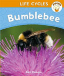 Bumblebee cover