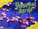 Unusual Birds cover