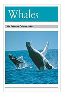 Whales cover