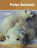 Polar Animals cover