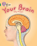 Your Brain cover