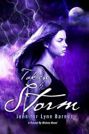 Taken by Storm cover