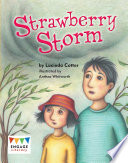 Strawberry Storm cover