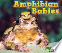 Amphibian Babies cover