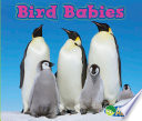 Bird Babies cover