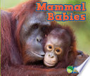 Mammal Babies cover