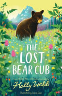 Looking for Bear cover