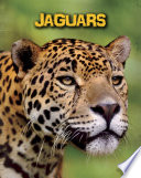 Jaguars cover