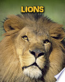 Lions cover