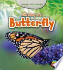 Life Story of a Butterfly cover