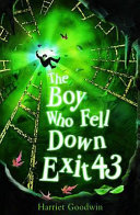 The Boy Who Fell Down Exit 43 cover