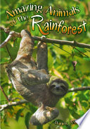Amazing Animals of the Rainforest cover