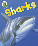Sharks cover