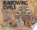 Burrowing Owls cover