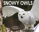 Snowy Owls cover