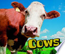 Cows cover