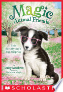Evie Scruffypup's Big Surprise cover