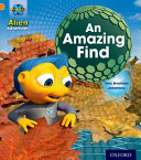 An Amazing Find cover