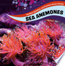Sea Anemones cover