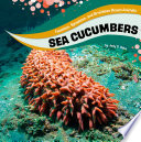 Sea Cucumbers cover