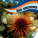 Sea Urchins cover