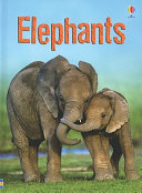 Elephants cover