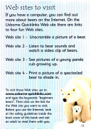 Bears cover