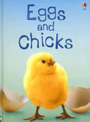 Eggs and Chicks cover
