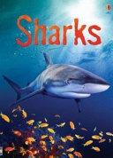 Sharks cover