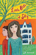 Little Bits of Sky cover