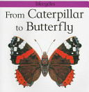 From Caterpillar to Butterfly cover