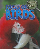 Focus on Birds cover