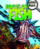 Focus on Fish cover